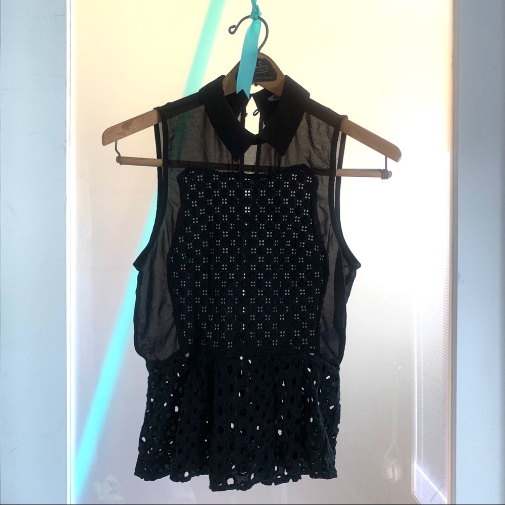 Pemplum Sheer Top